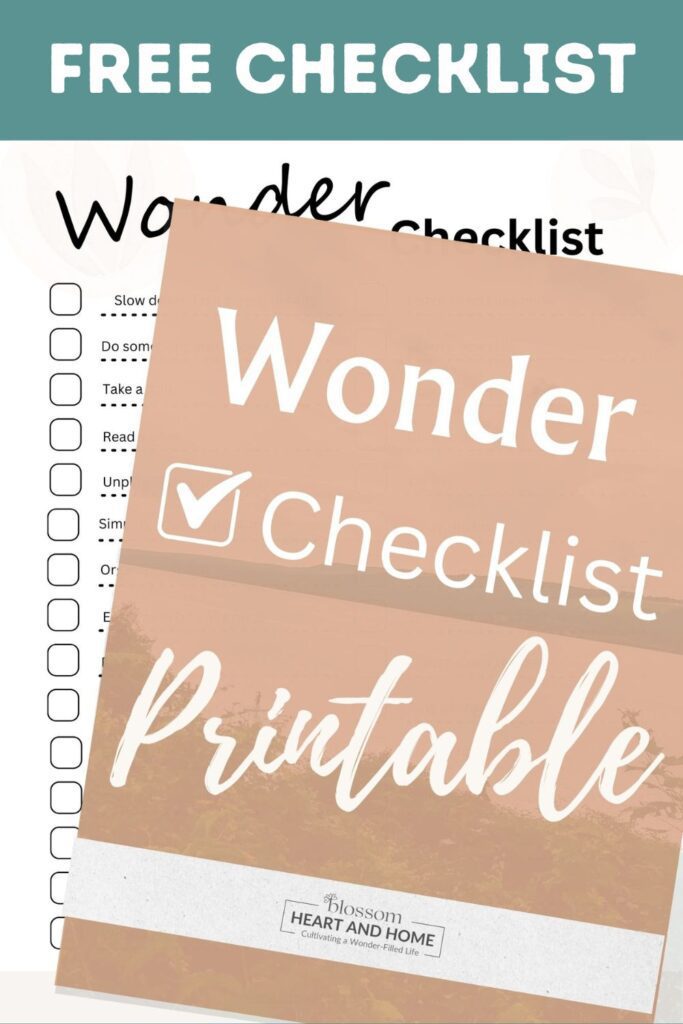 homeschool through the summer