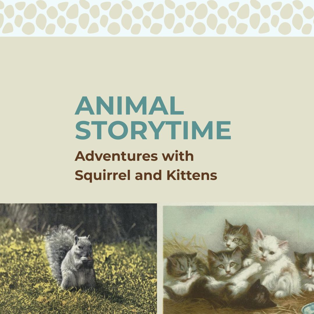 Animal Storytime for Kids: Adventures with Squirrel